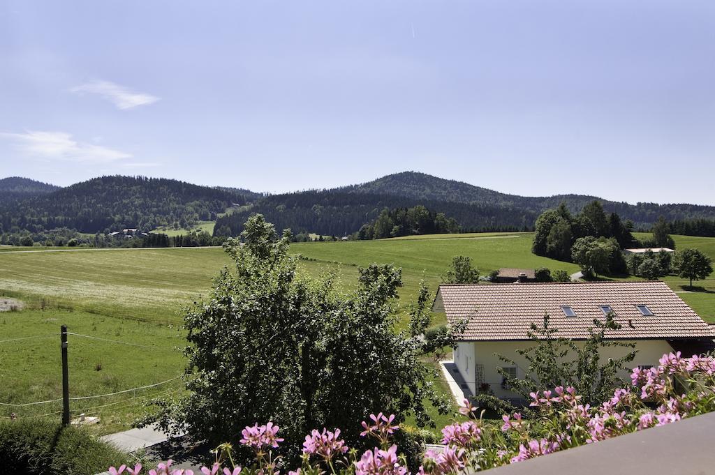 Hotel Haus Leutner Bodenmais Zewnętrze zdjęcie